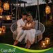 Садова гойдалка Гніздо лелеки Gardlov 27378 300 кг з подушкою двомісна 27378 фото 9
